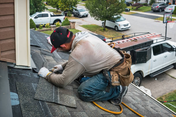 Professional Roof Repair technician working in Holland, MA